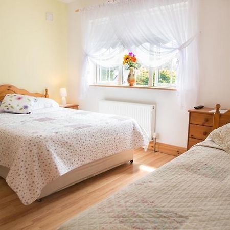 Shannon Breeze B&B Killaloe Kültér fotó