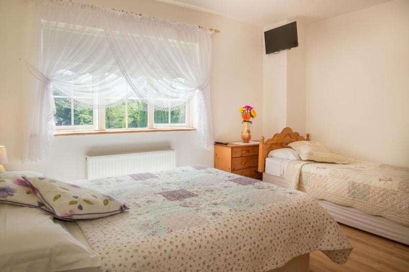 Shannon Breeze B&B Killaloe Kültér fotó