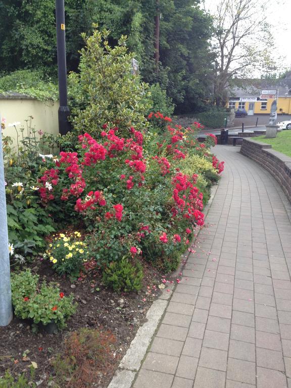 Shannon Breeze B&B Killaloe Kültér fotó