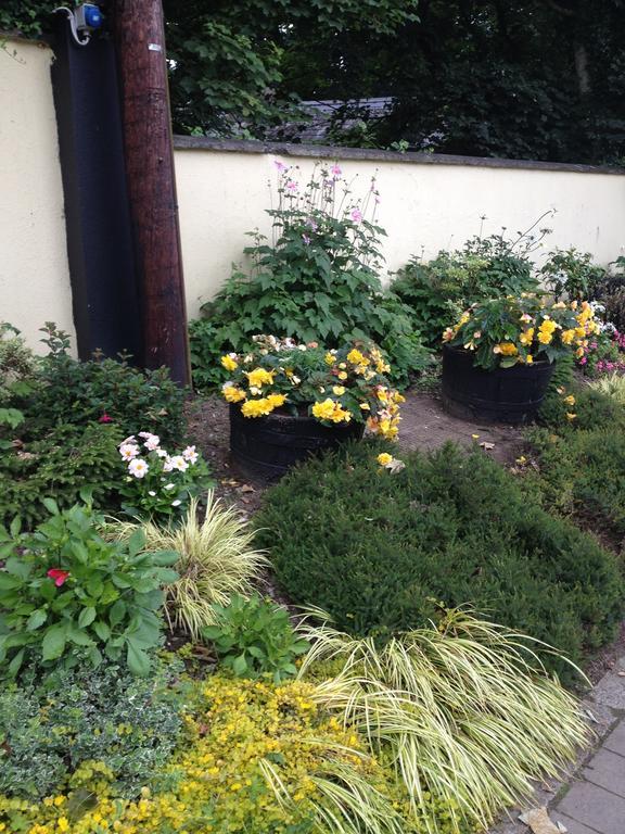 Shannon Breeze B&B Killaloe Kültér fotó