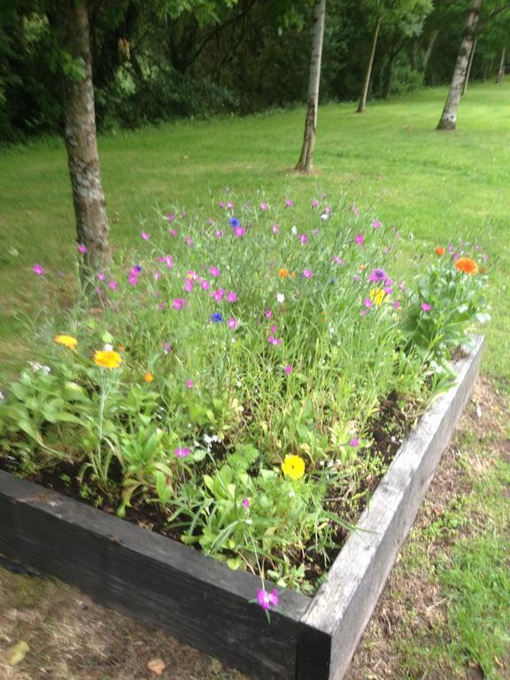 Shannon Breeze B&B Killaloe Kültér fotó